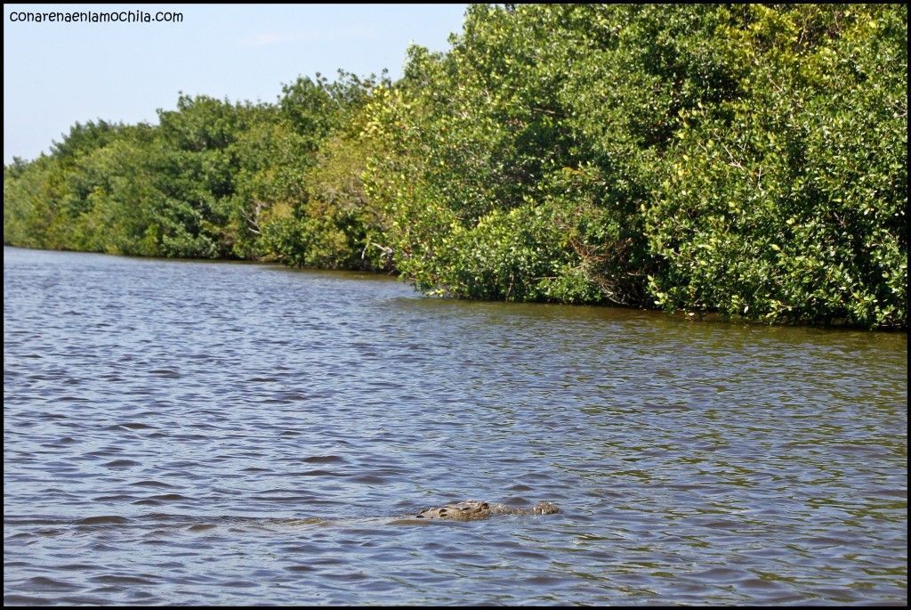 Everglades National Park Flori