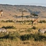 Un sueño llamado África: Kenia, Tanzania y Zanzíbar