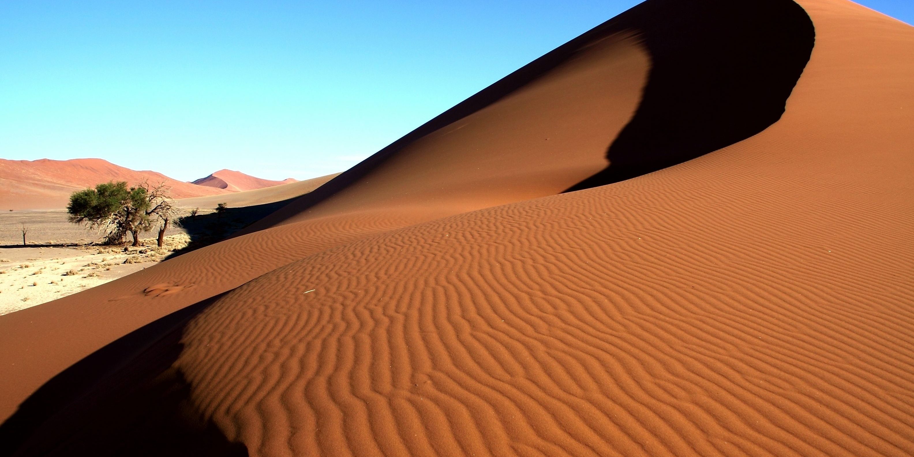Dune 45 Namibia