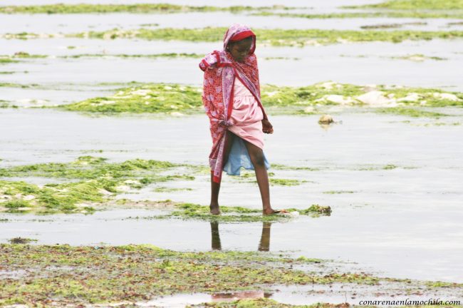 Nungwi Zanzíbar Tanzania
