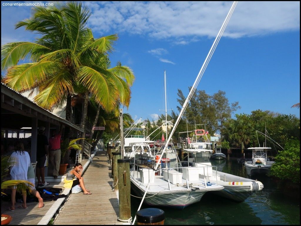 Stuart Cove's New Providence Bahamas