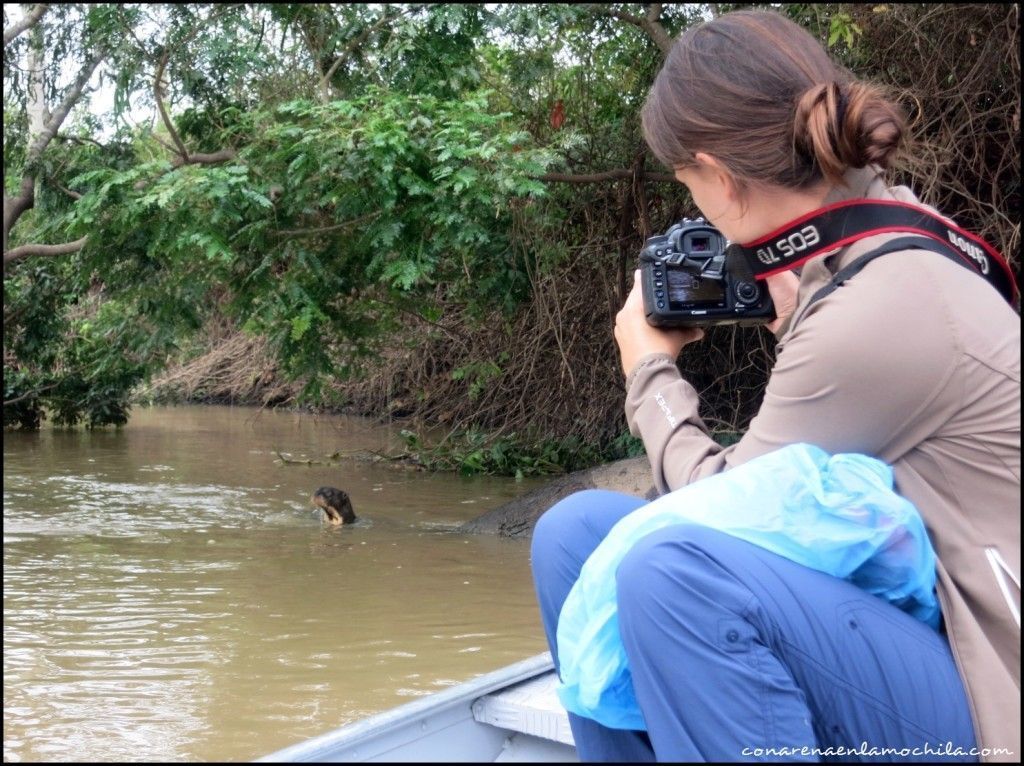 Porto Jofre Pantanal Mato Grosso Brasil