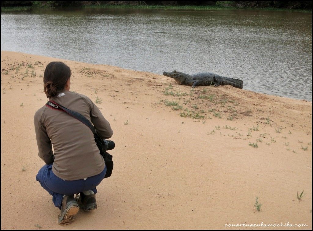 Porto Jofre Pantanal Mato Grosso Brasil