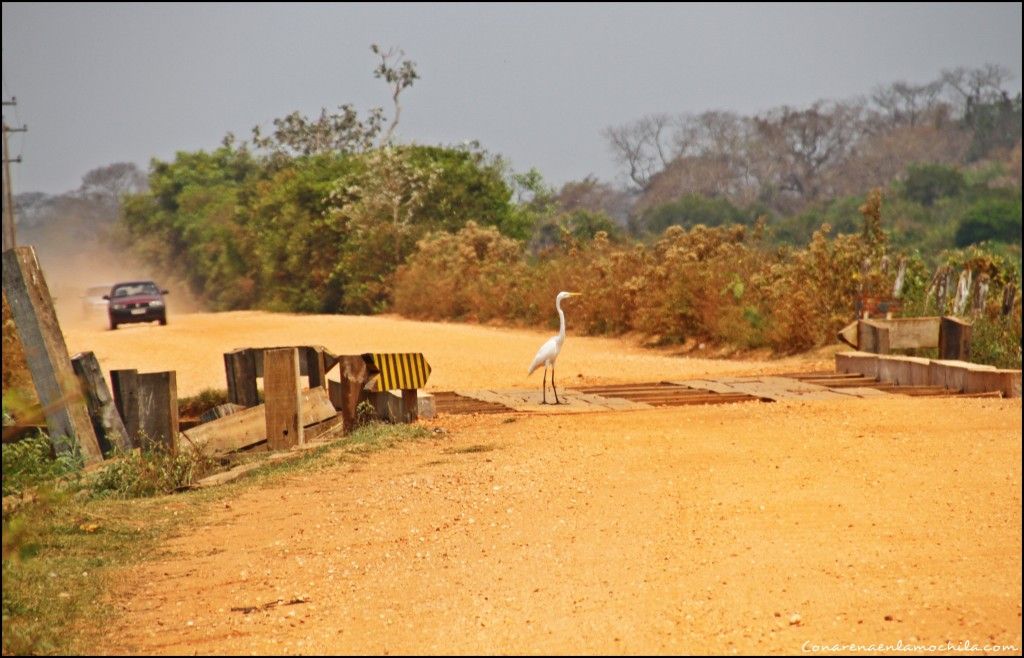 Transpantaneira Pantanal Mato Grosso Brasil