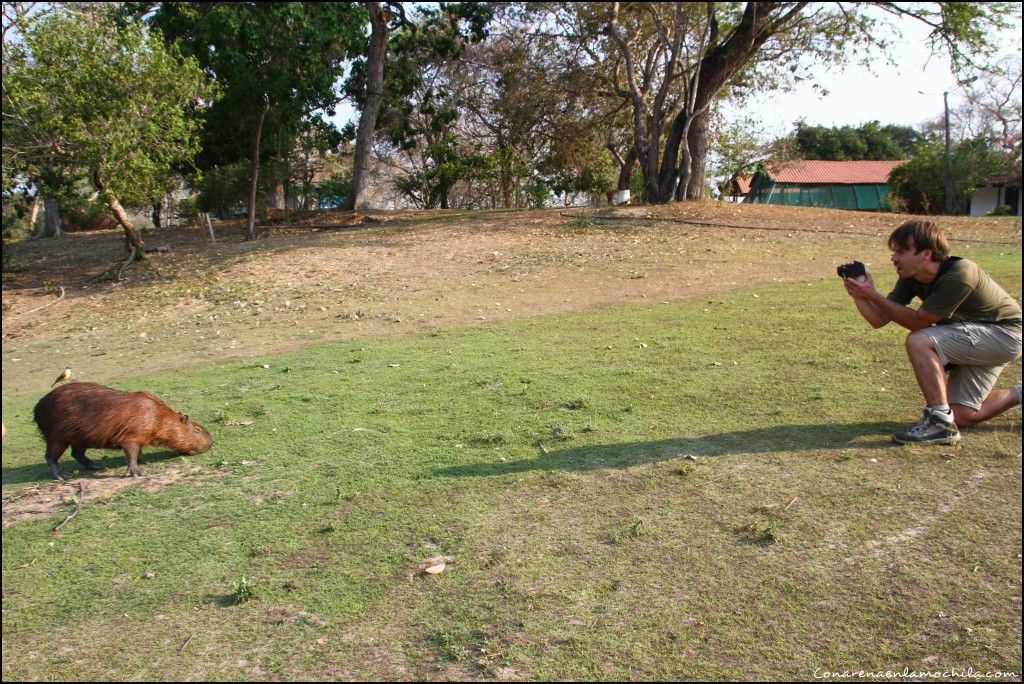 Pousada Rio Clarinho Pantanal Mato Grosso Brasil