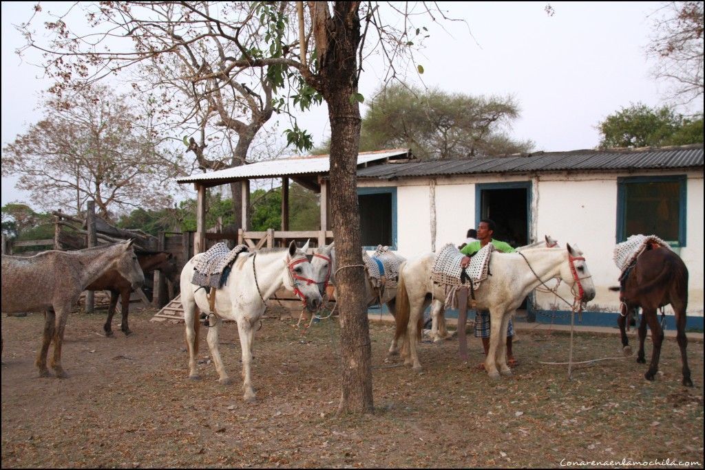 Pousada Rio Clarinho Pantanal Mato Grosso Brasil