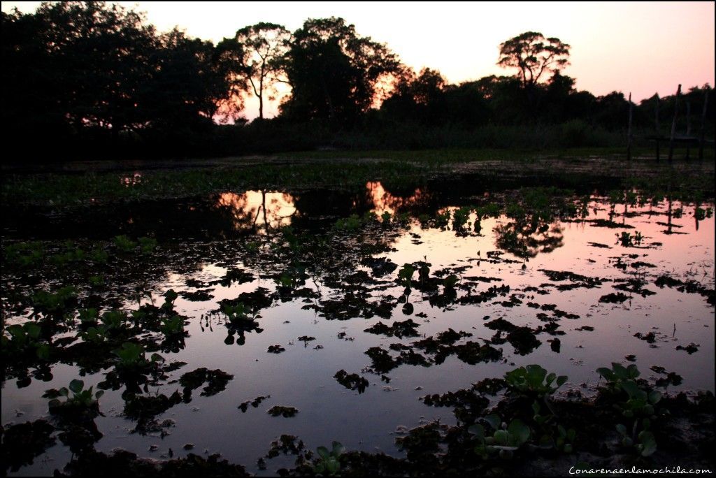 Pousada Rio Clarinho Pantanal Mato Grosso Brasil