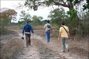 Pousada Rio Clarinho Pantanal Mato Grosso Brasil