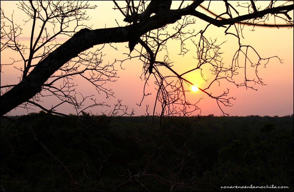 Pousada Rio Clarinho Pantanal Mato Grosso Brasil