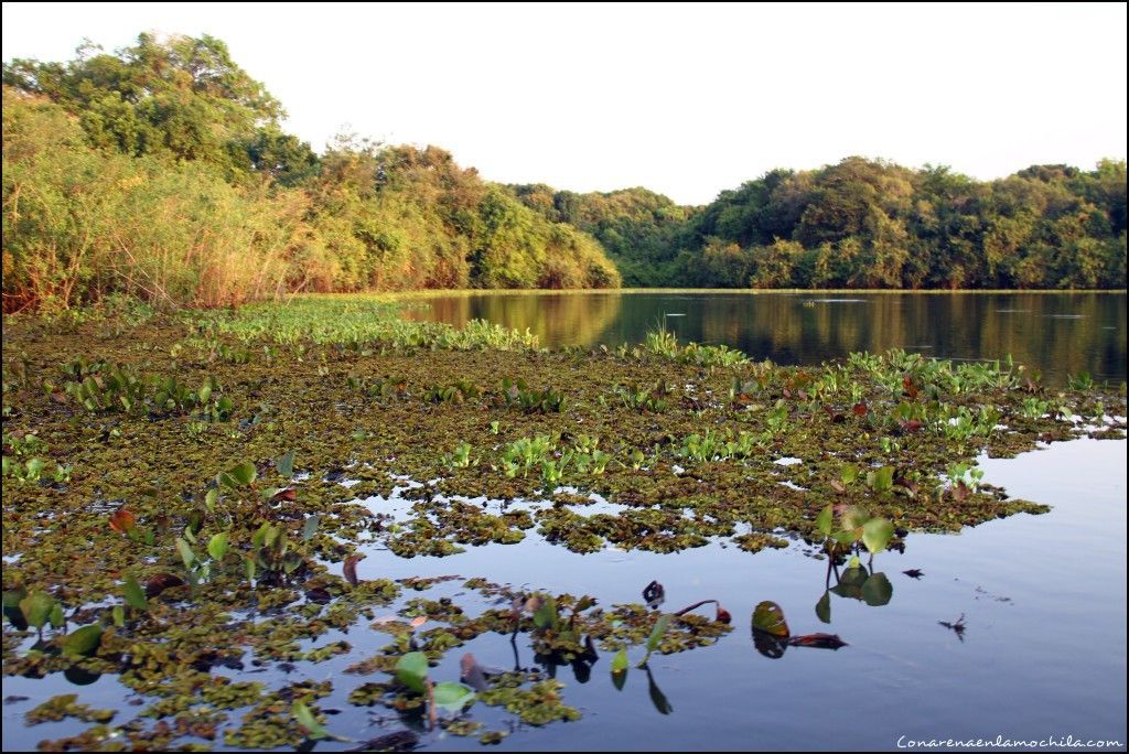 Pousada Rio Clarinho Pantanal Mato Grosso Brasil