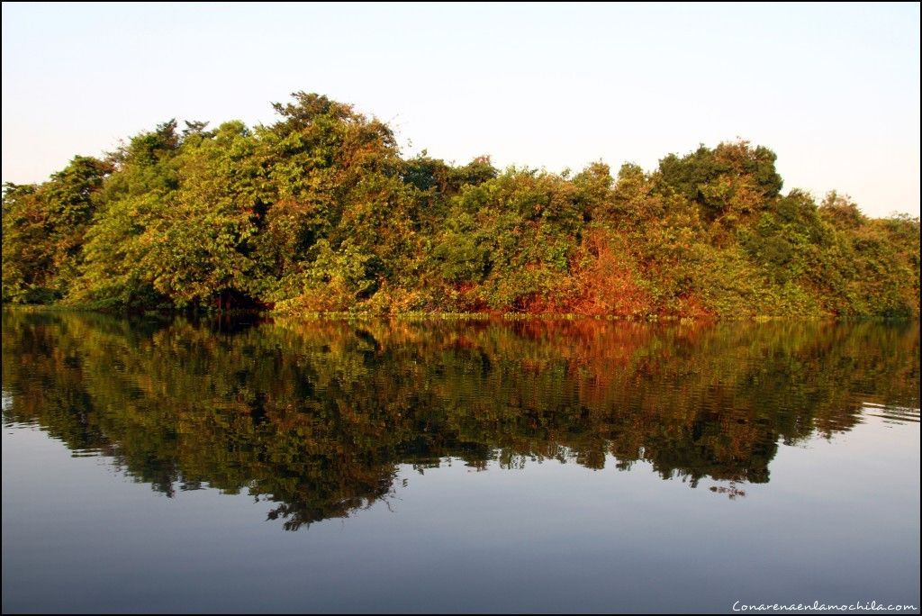 Pantanal Mato Grosso Brasil