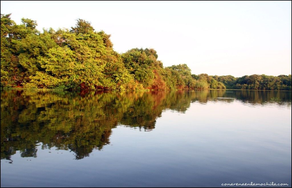 Pousada Rio Clarinho Pantanal Mato Grosso Brasil