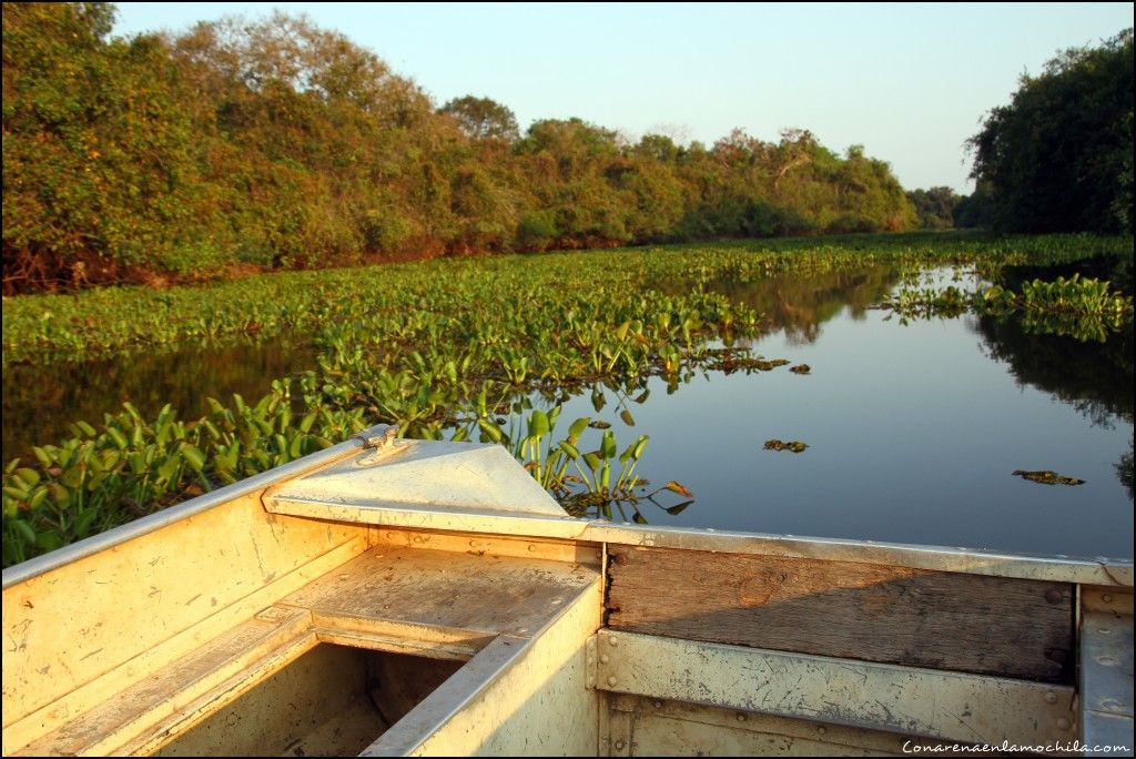 Pousada Rio Clarinho Pantanal Mato Grosso Brasil