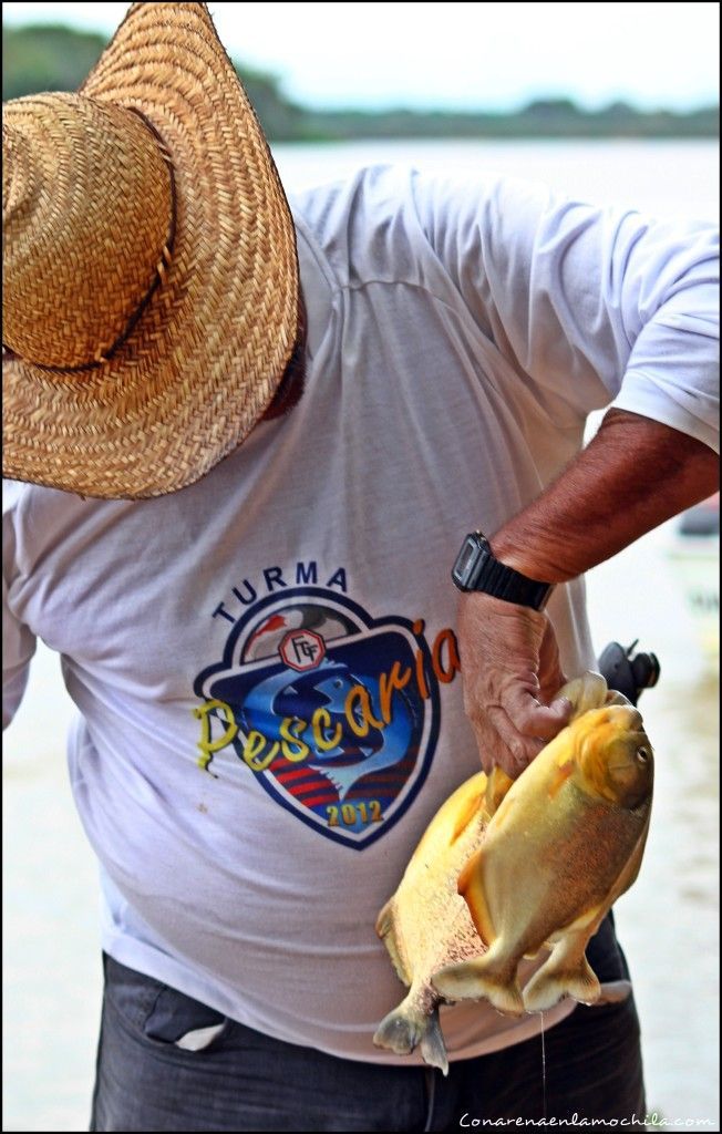 Porto Jofre Pantanal Mato Grosso Brasil