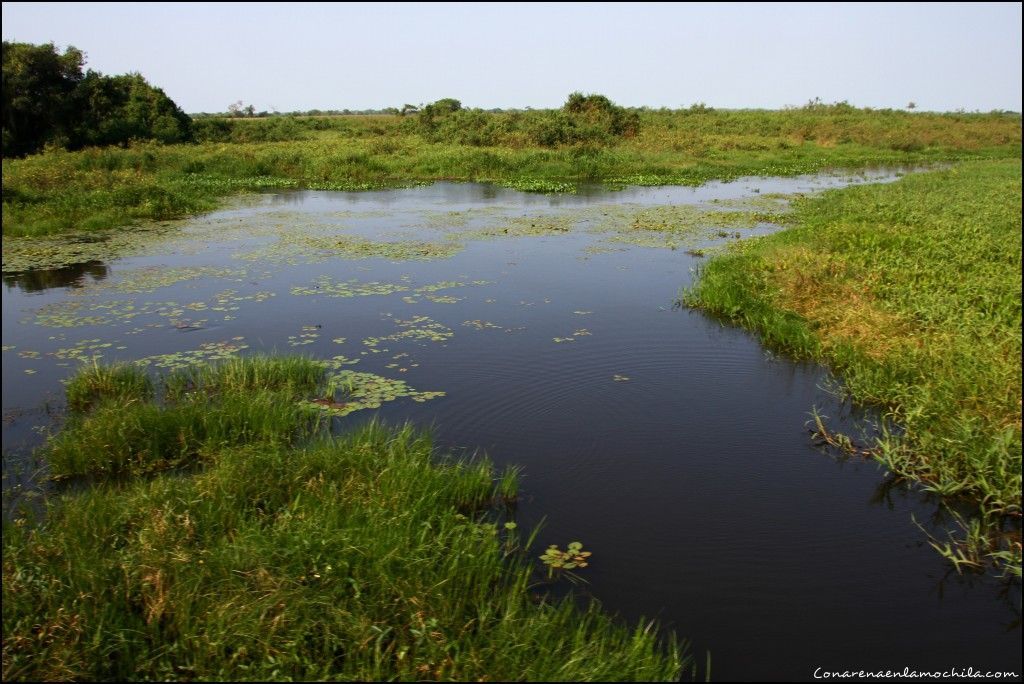 Transpantaneira Pantanal Mato Grosso Brasil