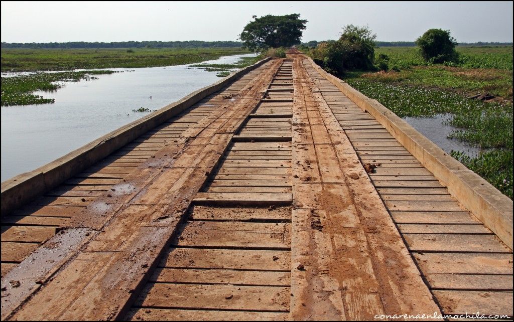 Transpantaneira Pantanal Mato Grosso Brasil