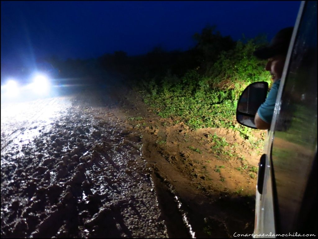 Transpantaneira Pantanal Mato Grosso Brasil