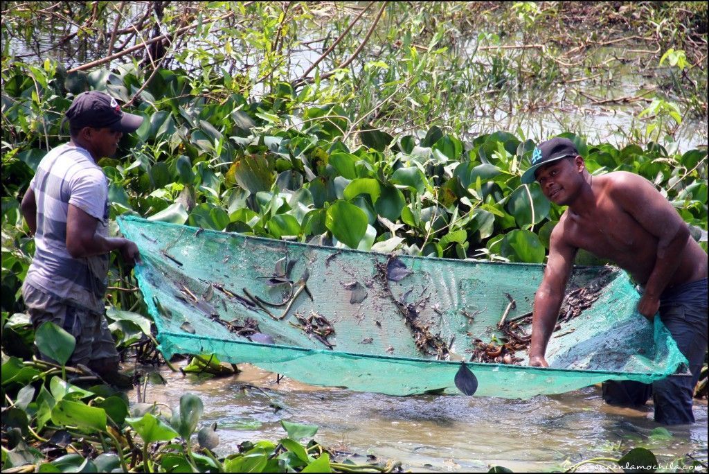 Transpantaneira Pantanal Mato Grosso Brasil