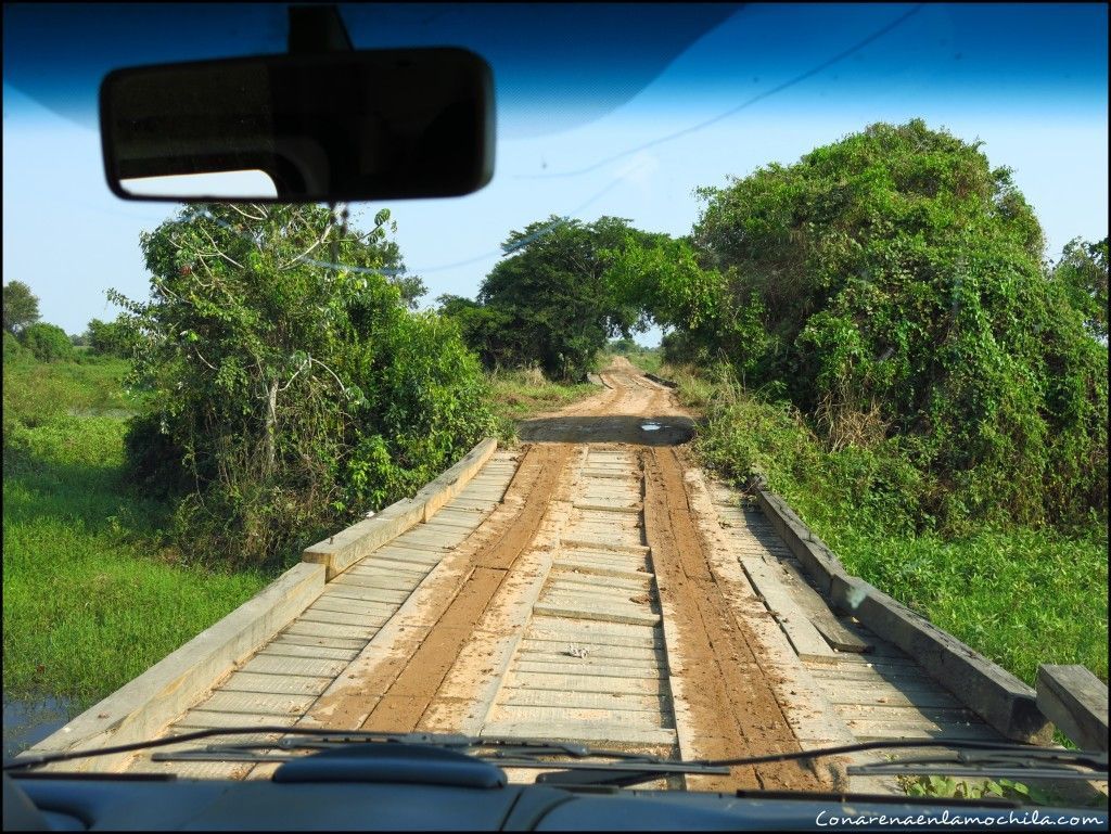 Transpantaneira Pantanal Mato Grosso Brasil