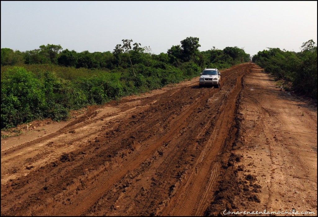 Transpantaneira Pantanal Mato Grosso Brasil