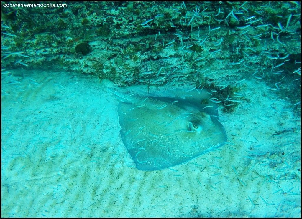 Eleuthera Bahamas