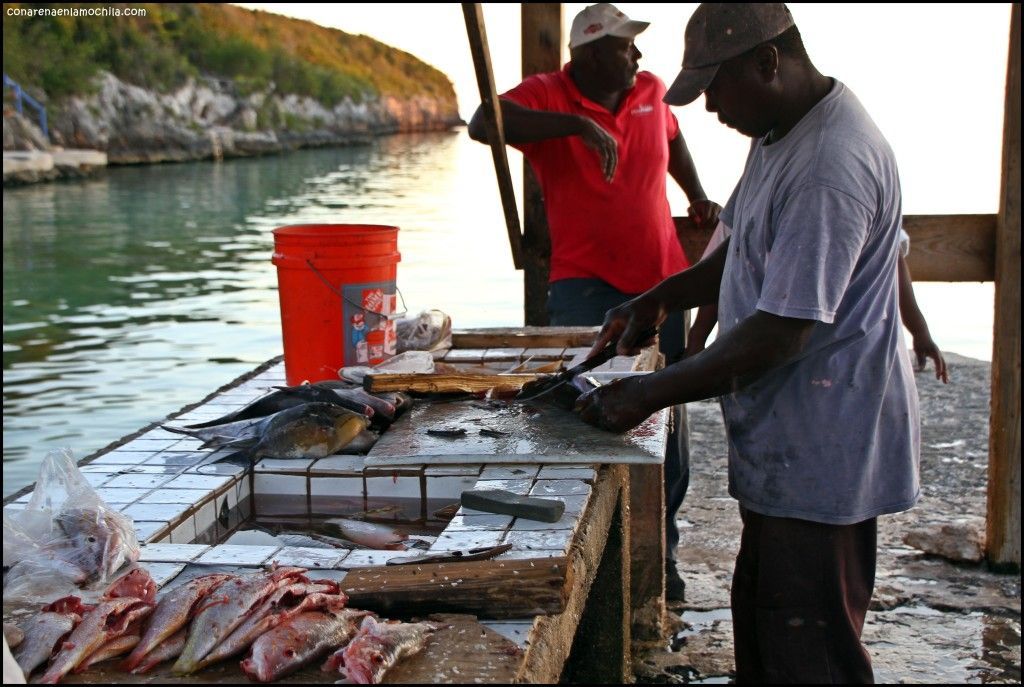 Eleuthera Bahamas