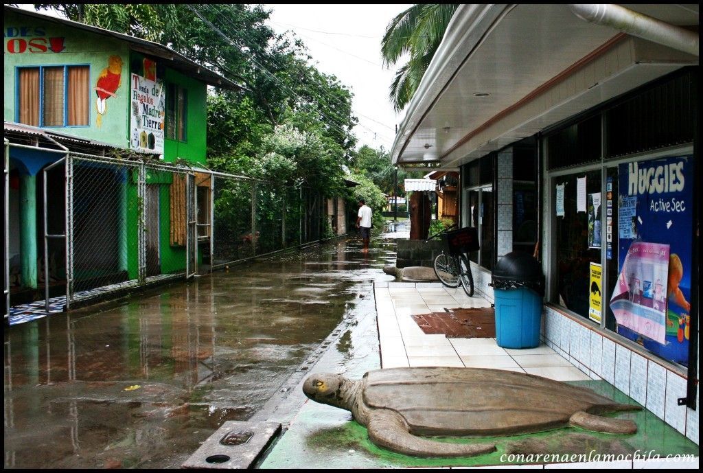 Tortuguero Costa Rica