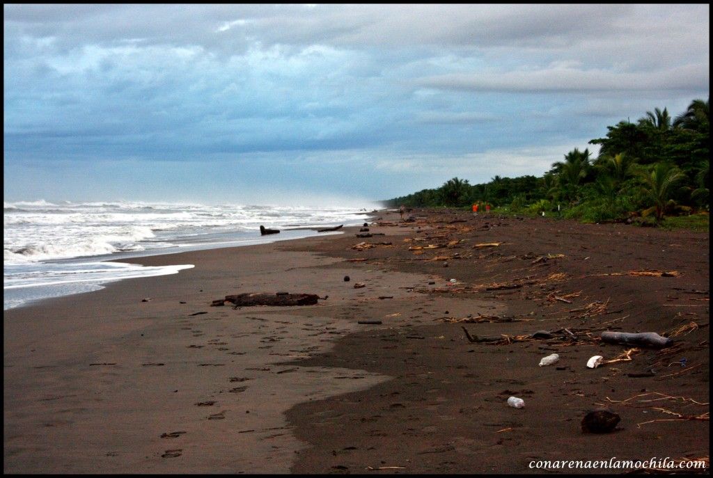 Tortuguero Costa Rica