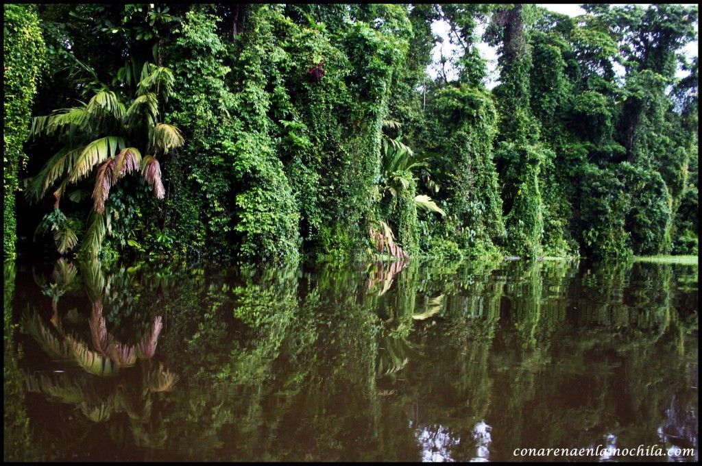 Tortuguero Costa Rica