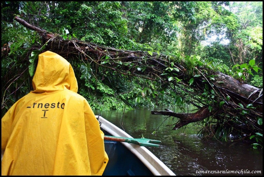 Tortuguero Costa Rica