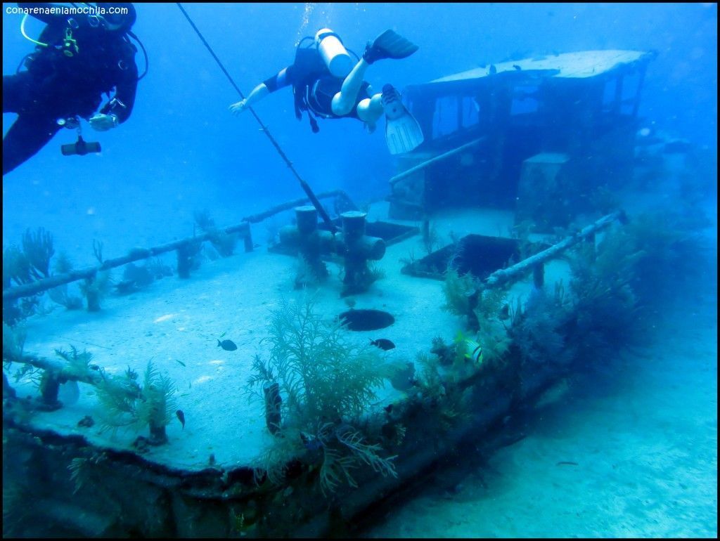 Papa Doc Grand Bahama Bahamas