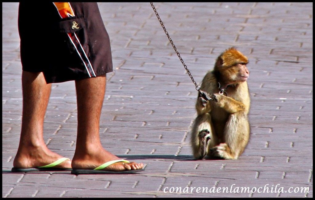 Marrakech Marruecos