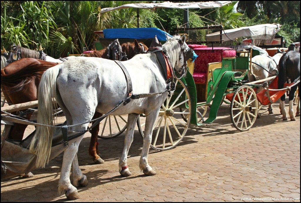 Marrakech Marruecos