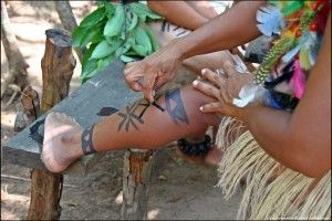 Río Negro Amazonas Brasil