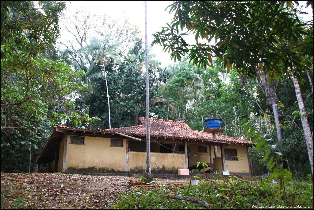 Parque Nacional de Jaú Amazonas Brasil