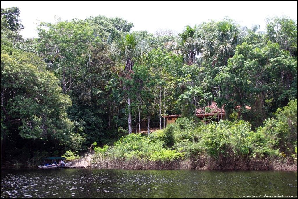 Parque Nacional de Jaú Amazonas Brasil