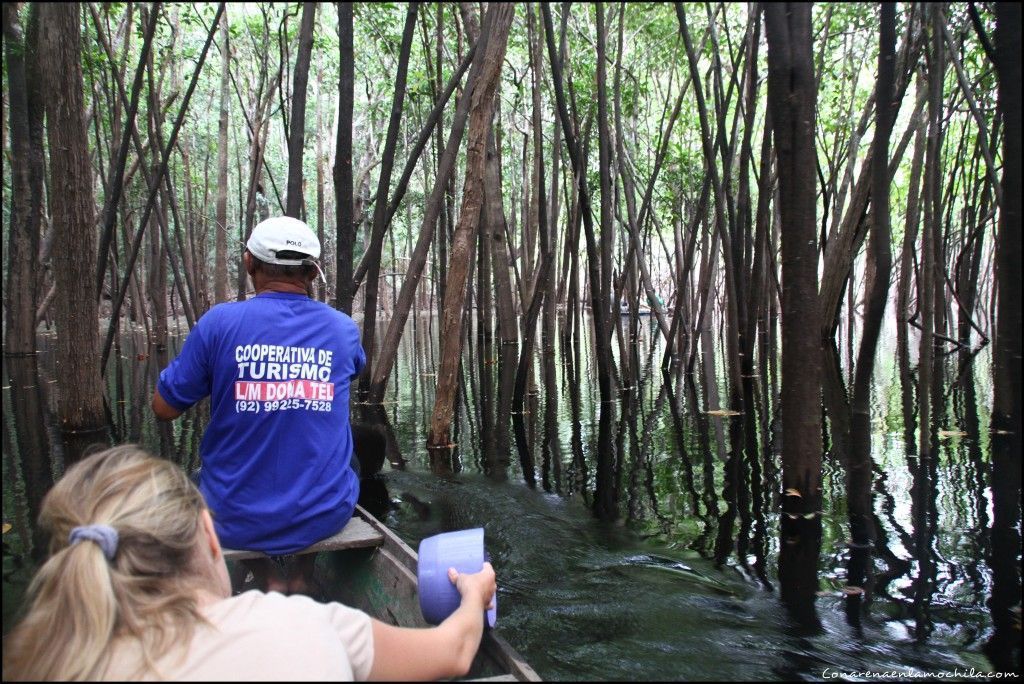 Parque Nacional de Jaú Amazonas Brasil