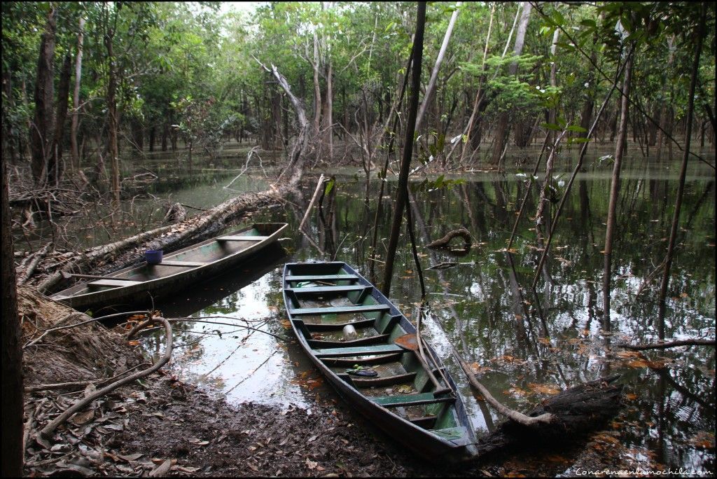 Parque Nacional de Jaú Amazonas Brasil