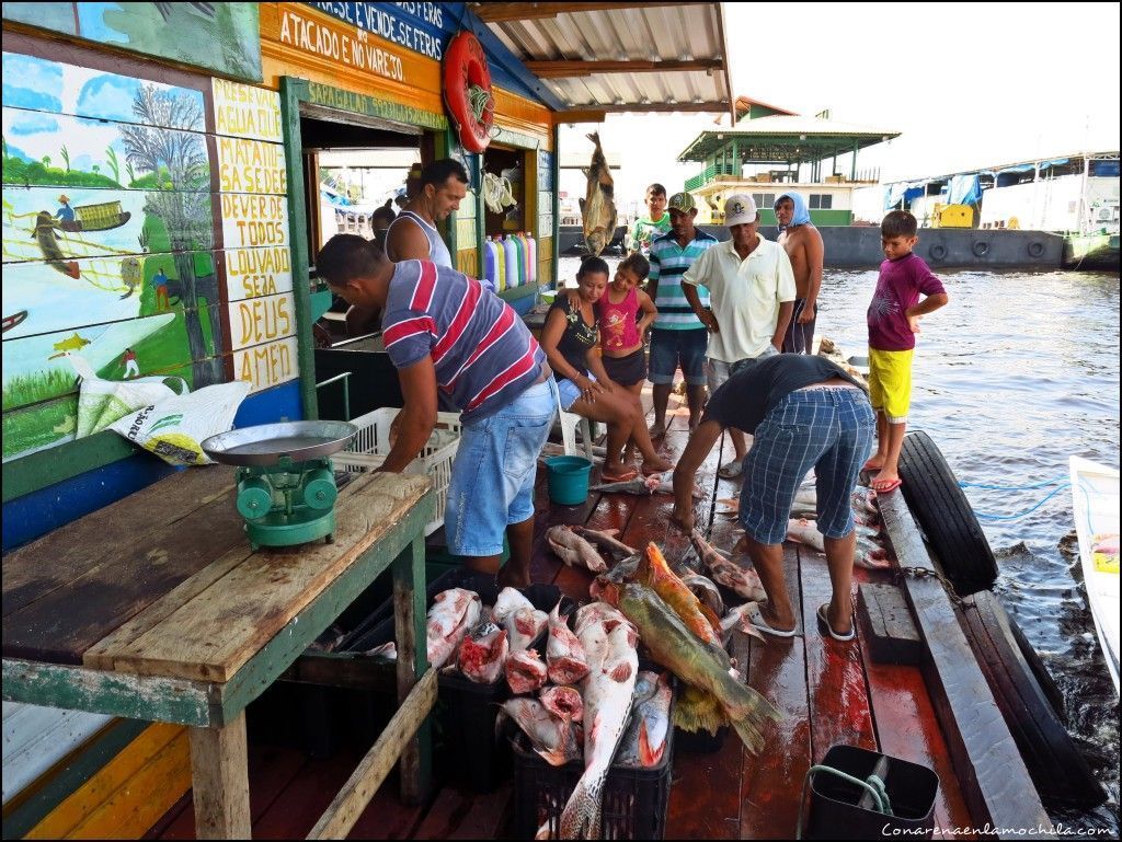 Manaos Amazonas Brasil