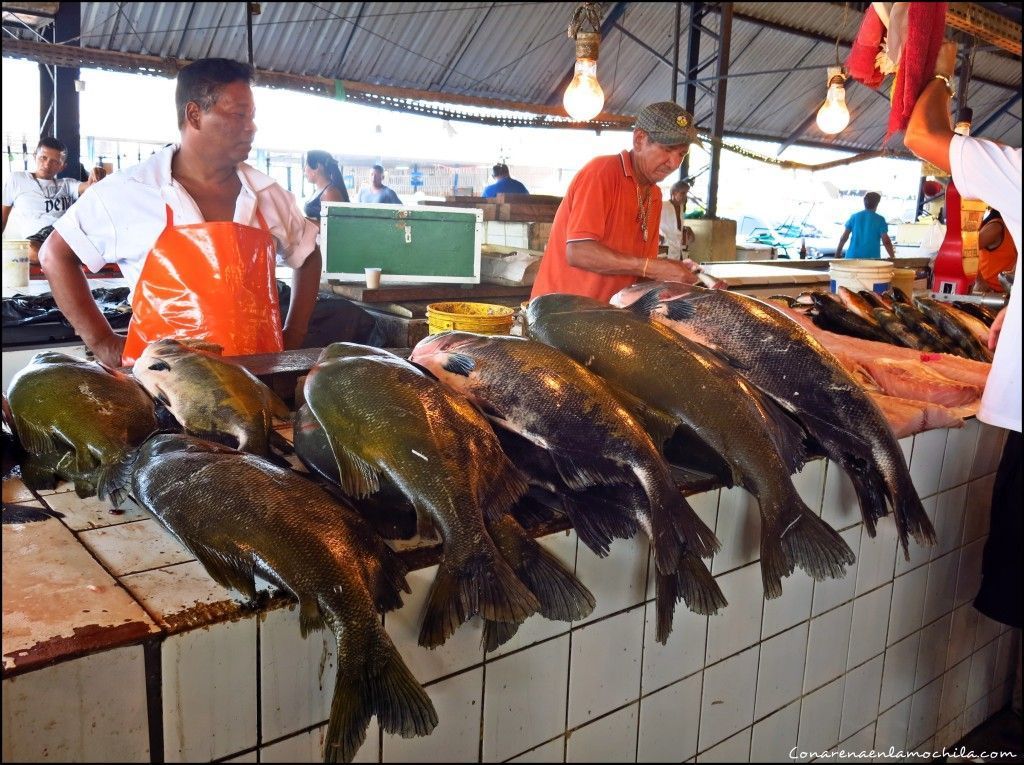 Manaos Amazonas Brasil