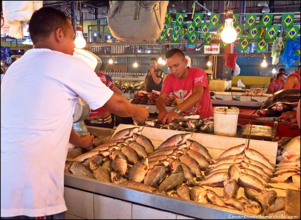 Manaos Amazonas Brasil