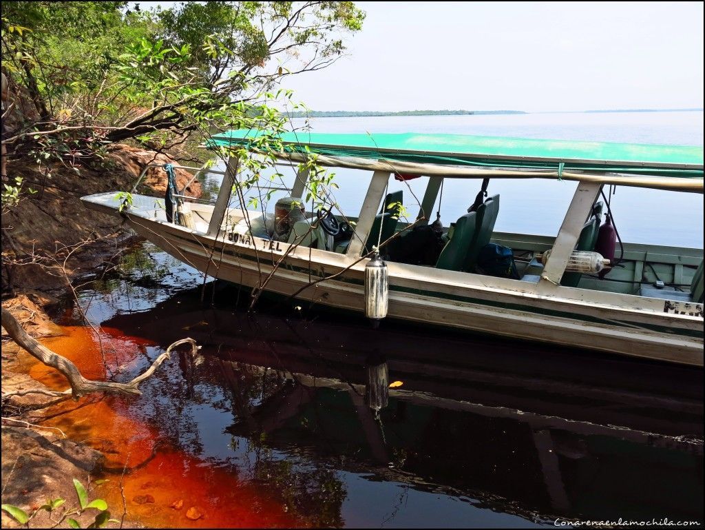 Río Negro Amazonas Brasil