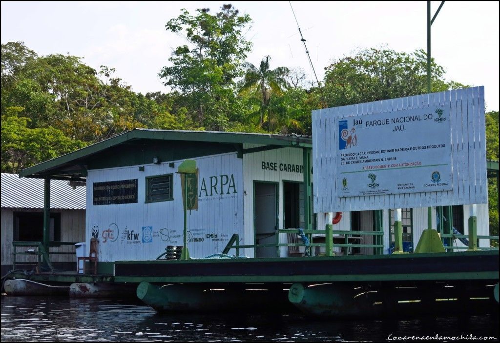 Parque Nacional de Jaú Amazonas Brasil