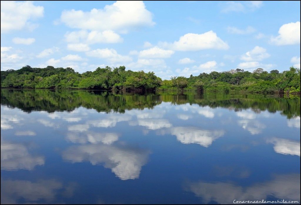 Manaos Amazonas Brasil