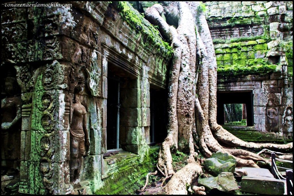 Ta Prom Angkor Siem Reap Camboya