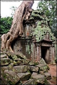 Ta Prom Angkor Siem Reap Camboya