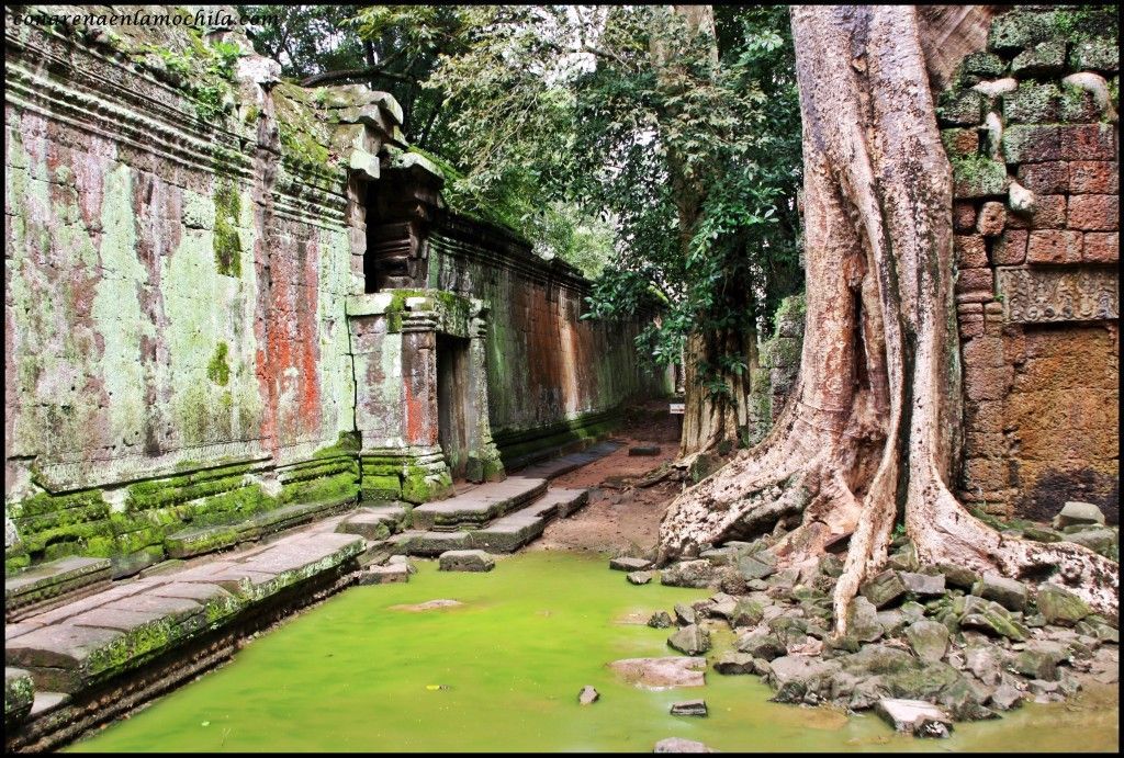 Ta Prom Angkor Siem Reap Camboya