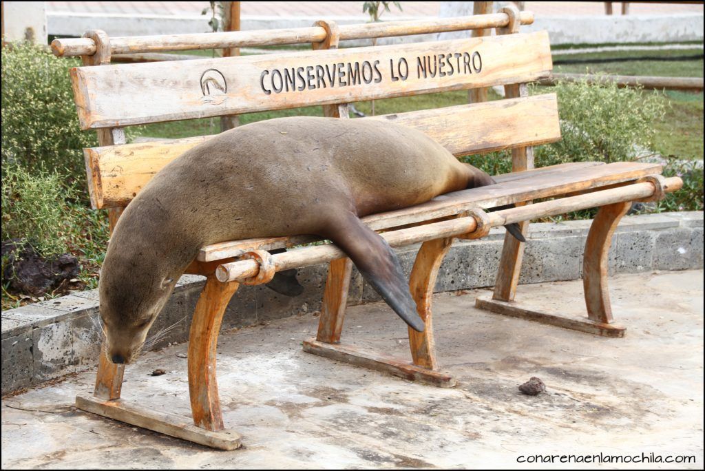 San Cristóbal Galápagos Ecuador