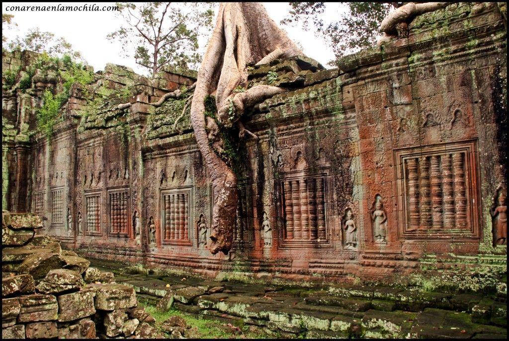 Preah Khan Angkor Siem Reap Camboya
