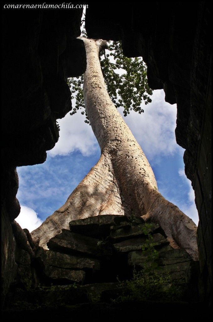 Preah Khan Angkor Siem Reap Camboya